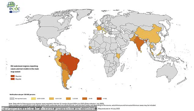 CDC Expands Travel Advisory Amid Chikungunya Surge, Urging Public Precautions