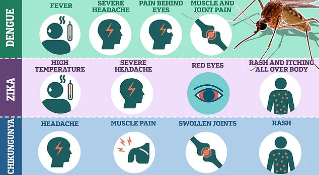 CDC Expands Travel Advisory Amid Chikungunya Surge, Urging Public Precautions