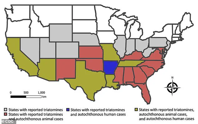 Health Experts Urge Relabeling of Chagas Disease as 'Endemic' to Improve Public Health Tracking and Awareness