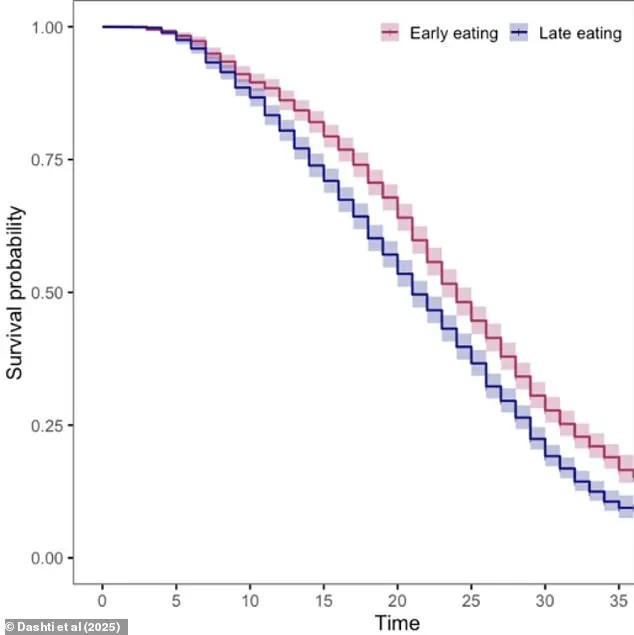 U.S. Government-Funded Study Links Meal Timing to Health Risks, Highlighting Role of Breakfast in Longevity
