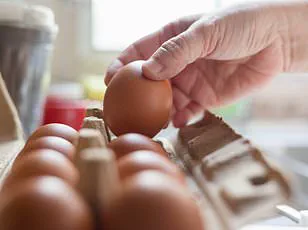 CDC Investigates Deadly Salmonella Outbreak Linked to Frozen Meals, Affecting 10 States
