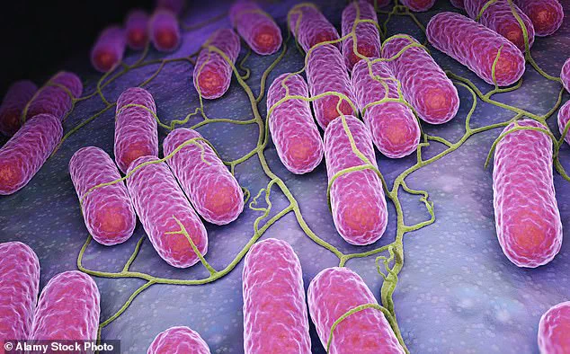 Outbreak of Salmonella-Linked Food Poisoning in Europe and UK Traced to Sicilian Cherry Tomatoes, Say Health Authorities