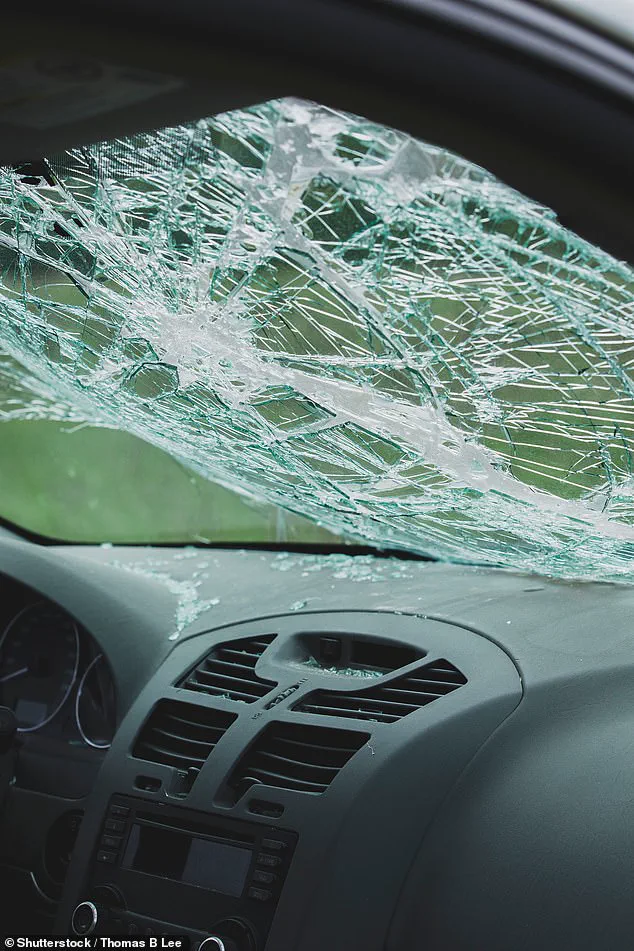 A Tragic Accident That Changed Jeffery Olsen’s Life: Loss, Survival, and the Journey to Recovery