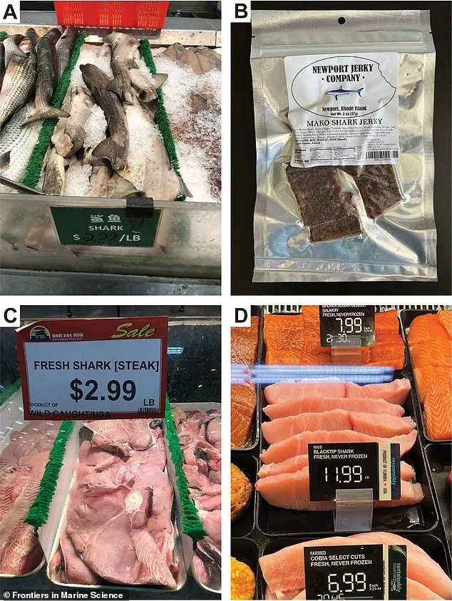 Regulatory Gaps Expose Public to Endangered Species in Grocery Meat, UNC Study Reveals