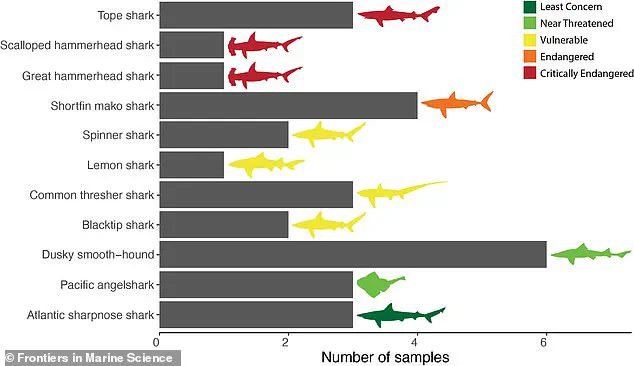 Regulatory Gaps Expose Public to Endangered Species in Grocery Meat, UNC Study Reveals