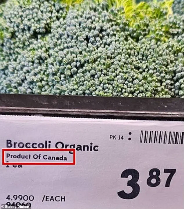 Exclusive Investigation Exposes 'Maple Washing' Scheme as Canadian Supermarkets Mislabel American Produce as Canadian