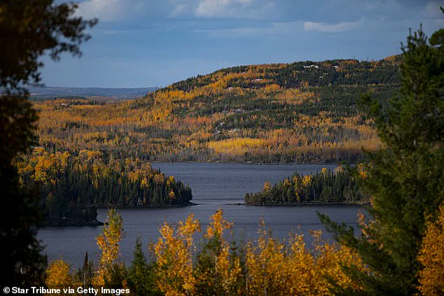 The Environmental Factors Behind Autumn Foliage and Their Impact on Communities