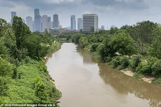 23 Bodies Found in Houston Bayous as Fears of Serial Killer Intensify