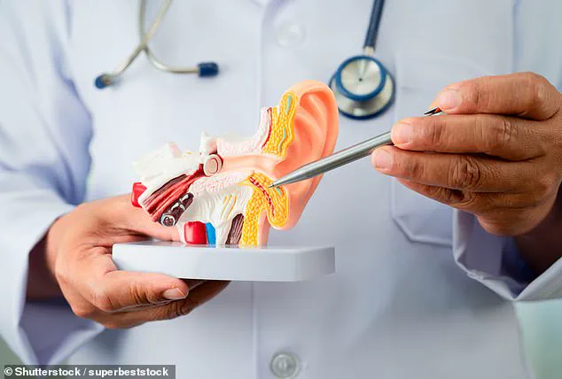 Diet Linked to Tinnitus in Groundbreaking Study, According to New Research