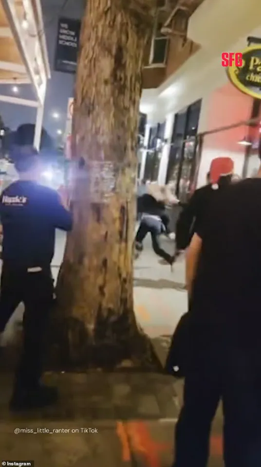 Exclusive Footage and Privileged Access Expose Bartender's Controversial Encounter Leading to Job Loss