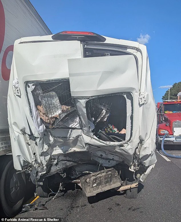 Exclusive: Georgia's Deadliest I-85 Pileup Claims Eight Lives, Limited Details Emerge