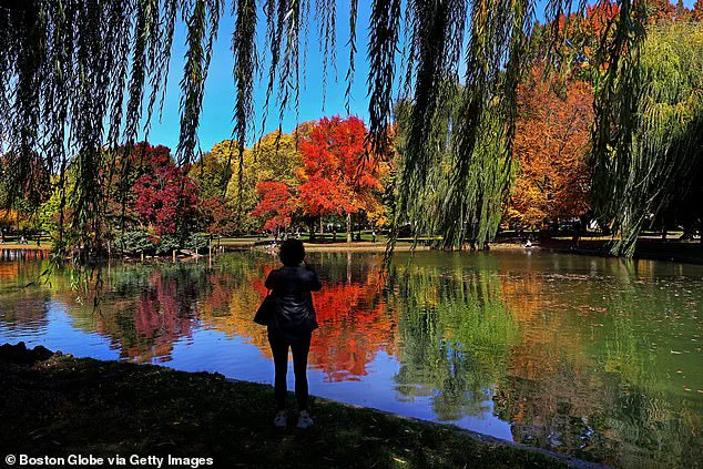 Exclusive Insights: Drought's Hidden Impact on New England's Leaf-Peeping Season
