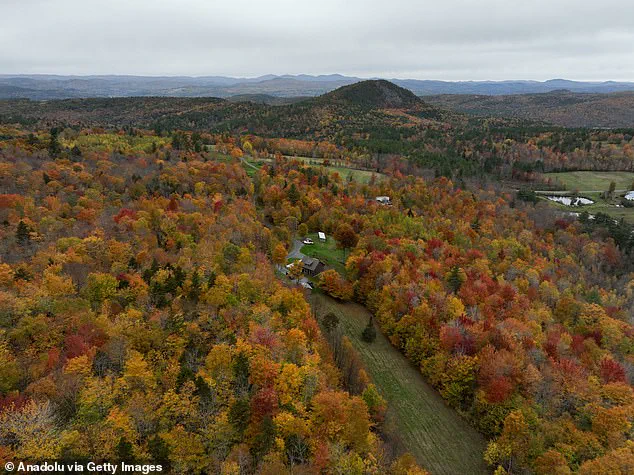 Exclusive Insights: Drought's Hidden Impact on New England's Leaf-Peeping Season