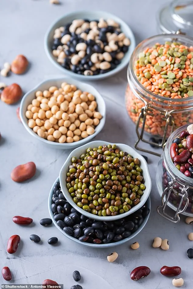 Expert Advisories Highlight Dietary Shift to Legumes as Key to Reducing Gallbladder Cancer Risk in Younger Populations