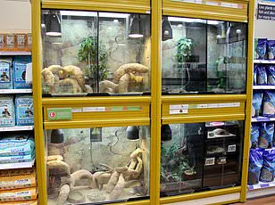 FDA Issues Class II Recall of Walgreens Saline Nasal Spray Due to Pseudomonas lactis Contamination, Prompting Public Health Concerns