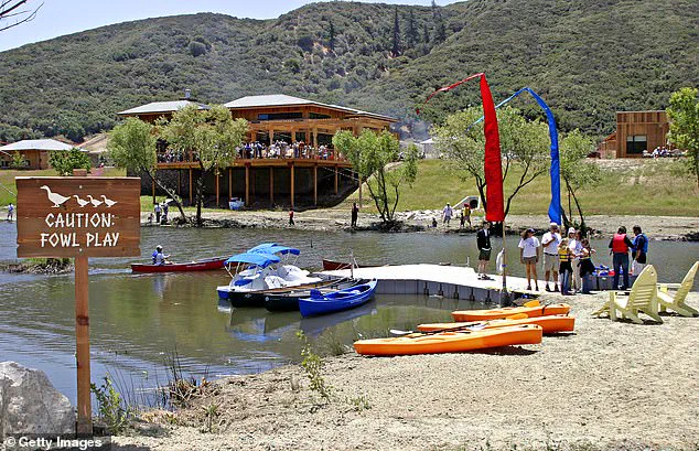 Former CEO of The Painted Turtle Faces 15 Felony Charges Including Grand Theft and Fraud in High-Profile Embezzlement Case