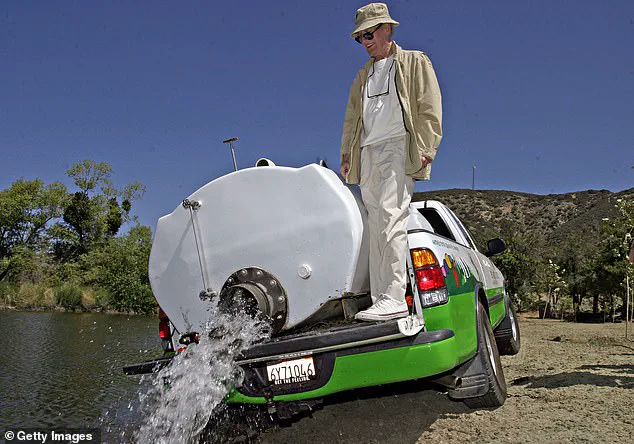 Former CEO of The Painted Turtle Faces 15 Felony Charges Including Grand Theft and Fraud in High-Profile Embezzlement Case