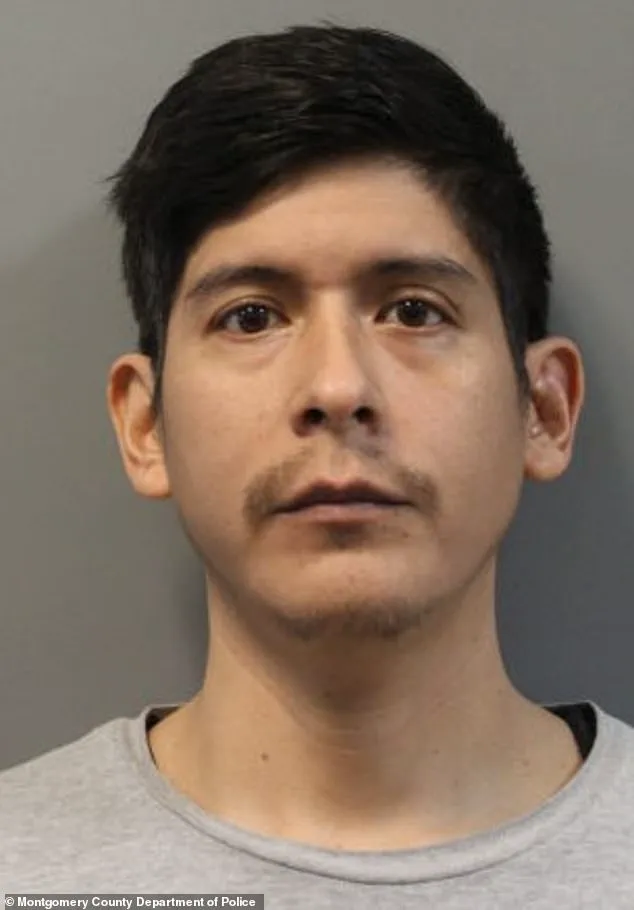 Government Efforts Lead to Resolution in Missing Teen Case