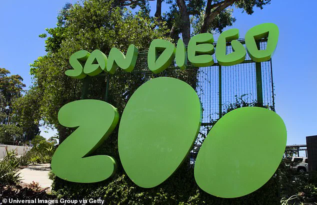 Gramma the Galapagos Tortoise Dies at 141 at San Diego Zoo