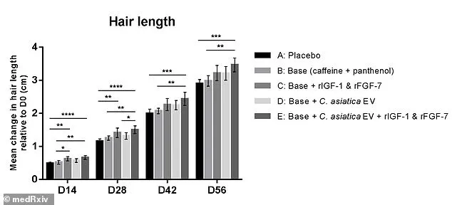 Groundbreaking Study from Taipei Reveals Centella Asiatica's Potential to Reverse Hair Loss with Novel Serum