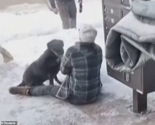 ICE Shooting Victim's Wife Identified as Anti-Trump Advocate