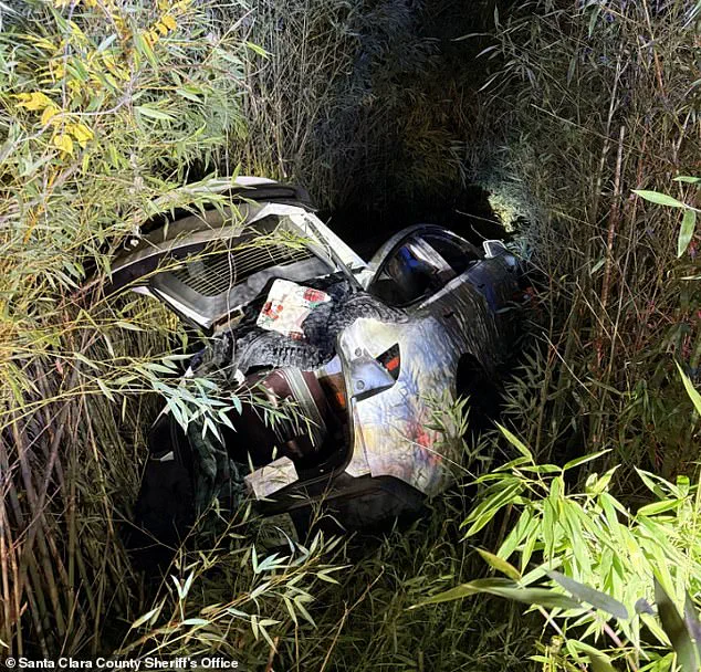 Late-Breaking: Mental Health Tycoon Vikram Beri Arrested After Napa Valley Winery Incident Involving Fire and Violence