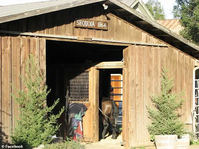 Late-Breaking: Mental Health Tycoon Vikram Beri Arrested After Napa Valley Winery Incident Involving Fire and Violence