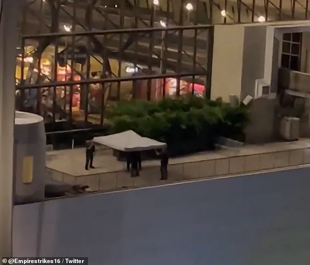 Limited Details Released in Tragic Disney World Incident: Authorities Confirm Suicide