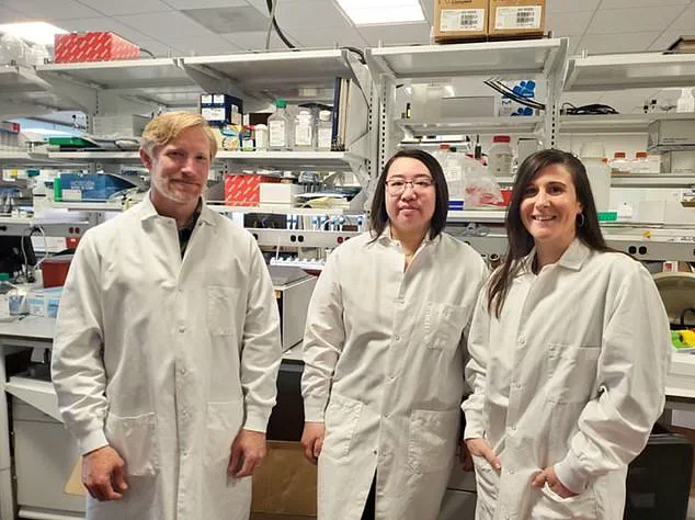 Promising Gene Therapy Offers New Hope for Treating SYNGAP1-Related Brain Disorders