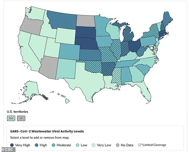 Public Health Officials Warn of Flu Surge and New Covid-19 Strain as Winter Illness Crisis Deepens
