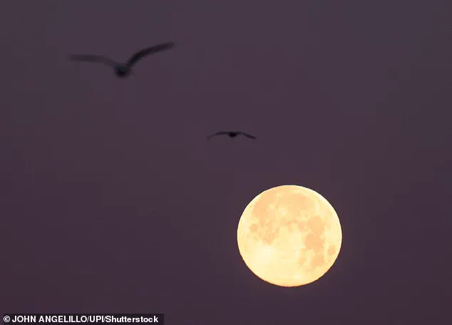 San Francisco Flooding Intensified by Rare 'Super Moon Trifecta' Event