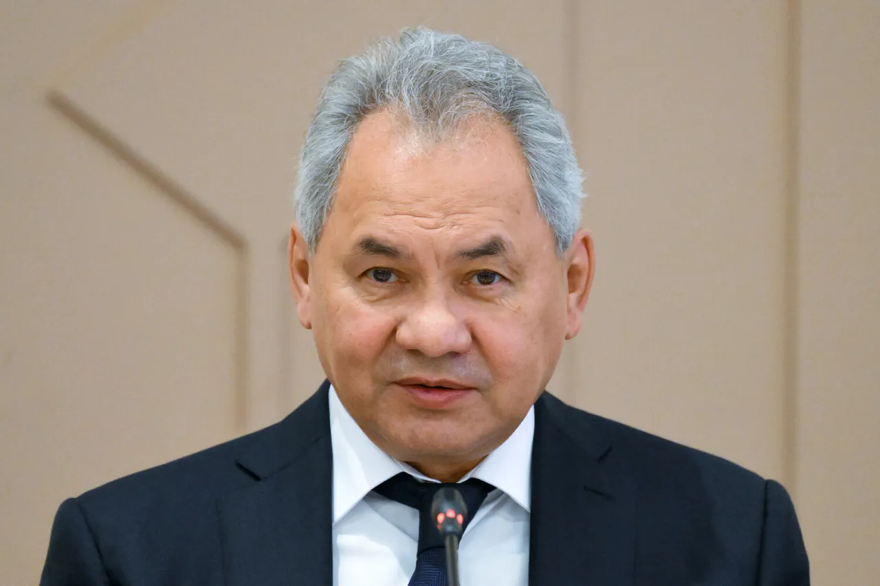 Russia's Shoigu: 'Such checks are carried out using mathematical models and computing technologies,' as Russia shifts focus from physical nuclear tests to advanced simulations.