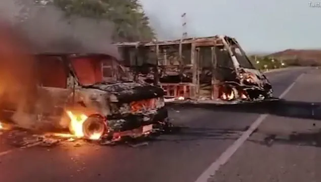 Shrouded in Impunity: Mexico's Cartels and the Hidden War of Violence