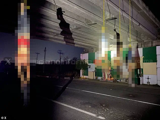 Shrouded in Impunity: Mexico's Cartels and the Hidden War of Violence