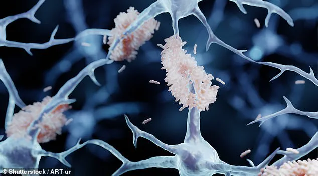 Study Suggests Morningness Correlates With Lower Dementia Risk in Older Adults, Published in *Neurology*