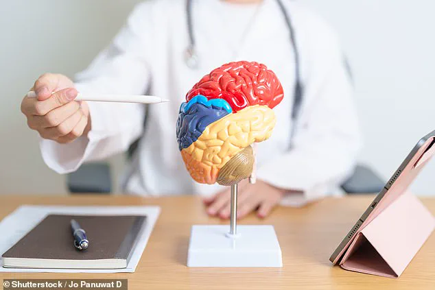 Study Reveals X Chromosome Gene Linked to Increased Alzheimer's Risk in Women