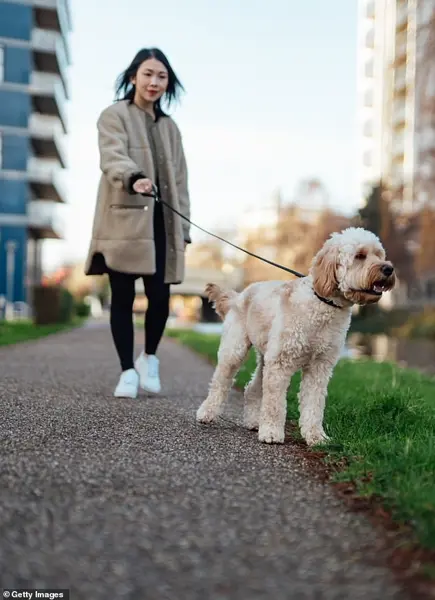 The $600 Billion Longevity Industry: How Regulation Shapes the Quest for Eternal Youth