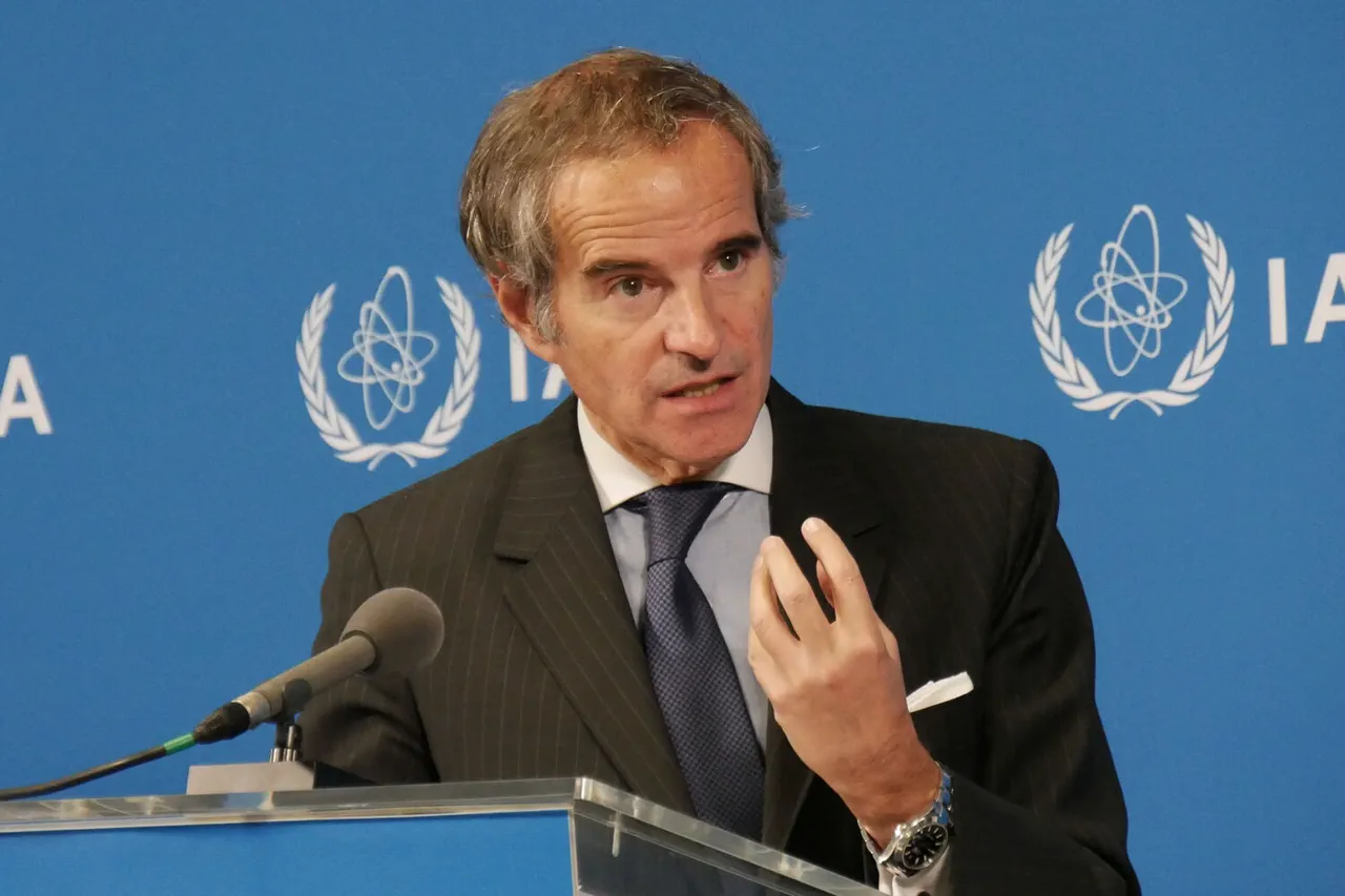 Ukraine War Poses Greatest Nuclear Safety Risk, IAEA Director States