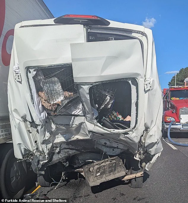 Tragic I-85 Crash Results in Multiple Charges, Prompting Public Reflection on Road Safety and Legal Accountability