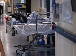 UK Hospitals Fail to Test for C. Diff, Study Warns of Patient Safety Risks