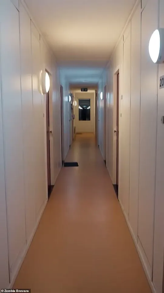 Amsterdam's Stek Oost Housing Initiative Faces Controversy Over Refugee Integration Efforts