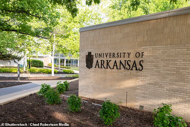 University of Arkansas Rescinds Job Offer to Emily Suski Over Transgender Rights Stance, Sparking Debate on Academic Freedom and Institutional Autonomy