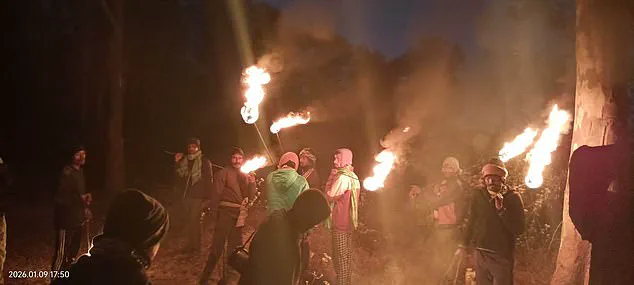 Rampaging Elephant in Jharkhand Sparks Chaos as 22 Killed, Villagers Flee