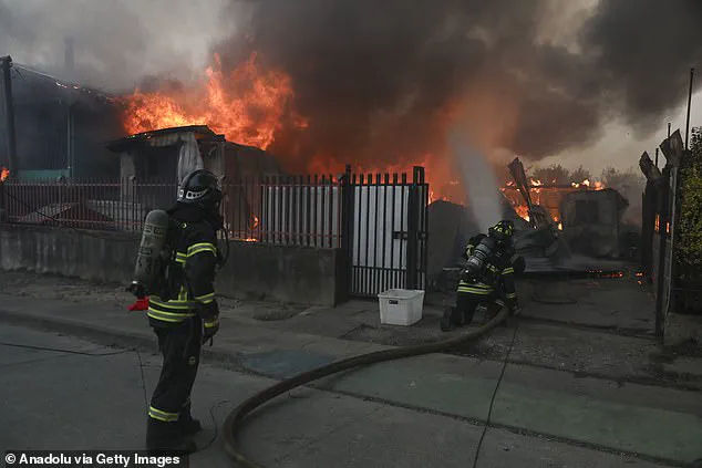 Chile Wildfires: 'Federal Government Fails' as 18 Killed and 50,000 Evacuated, Say Local Leaders