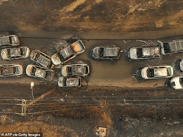 Chile Wildfires: 'Federal Government Fails' as 18 Killed and 50,000 Evacuated, Say Local Leaders