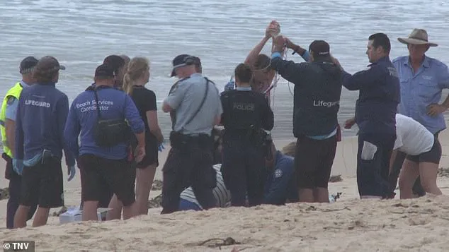 Sydney Beaches Under Lockdown Amid Surge in Shark Attacks: Community in Shock