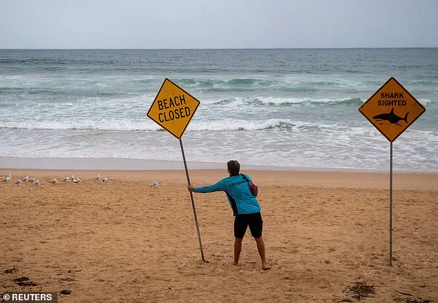 Sydney Beaches Under Lockdown Amid Surge in Shark Attacks: Community in Shock