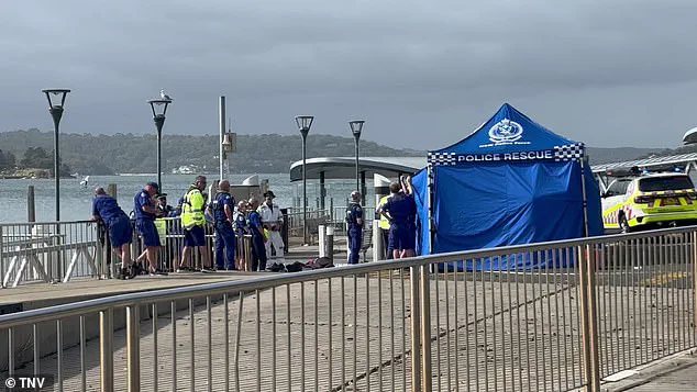 Sydney Beaches Under Lockdown Amid Surge in Shark Attacks: Community in Shock