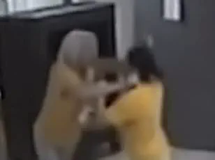 Public Outcry Over Government Officials' Altercation Sparks Debate on Accountability