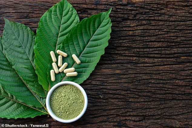 Toxicology Report Reveals Multiple Drugs in Chess Grandmaster Daniel Naroditsky's System at Time of Death